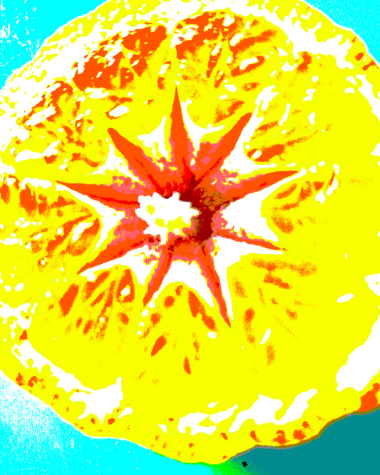 Citrus Star