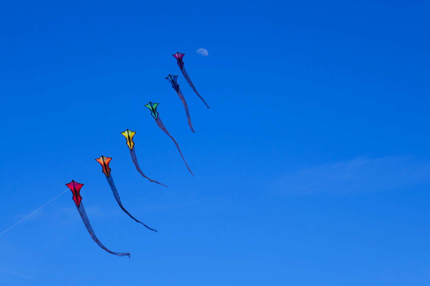Fly Me To The Moon, San Diego, USA