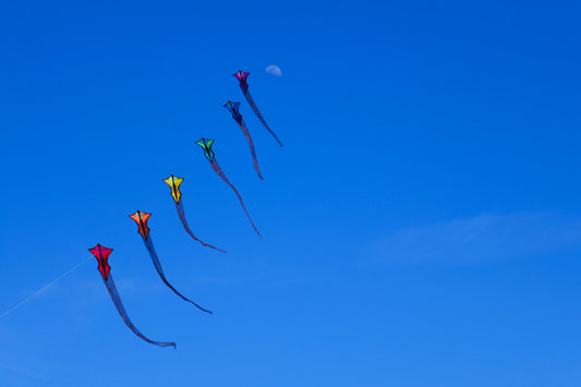 Fly Me To The Moon, San Diego, USA