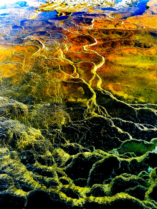 Nature's Palette, Yellowstone, USA
