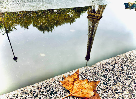 Paris In Fall, Paris, France
