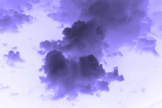 Purple Fluff