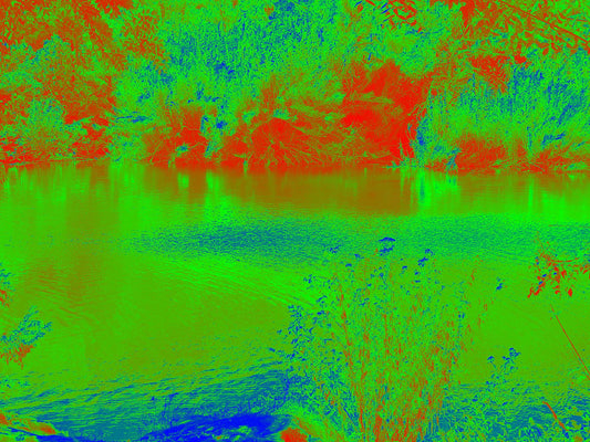 The Pond