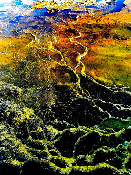 Where Earth Becomes Abstract