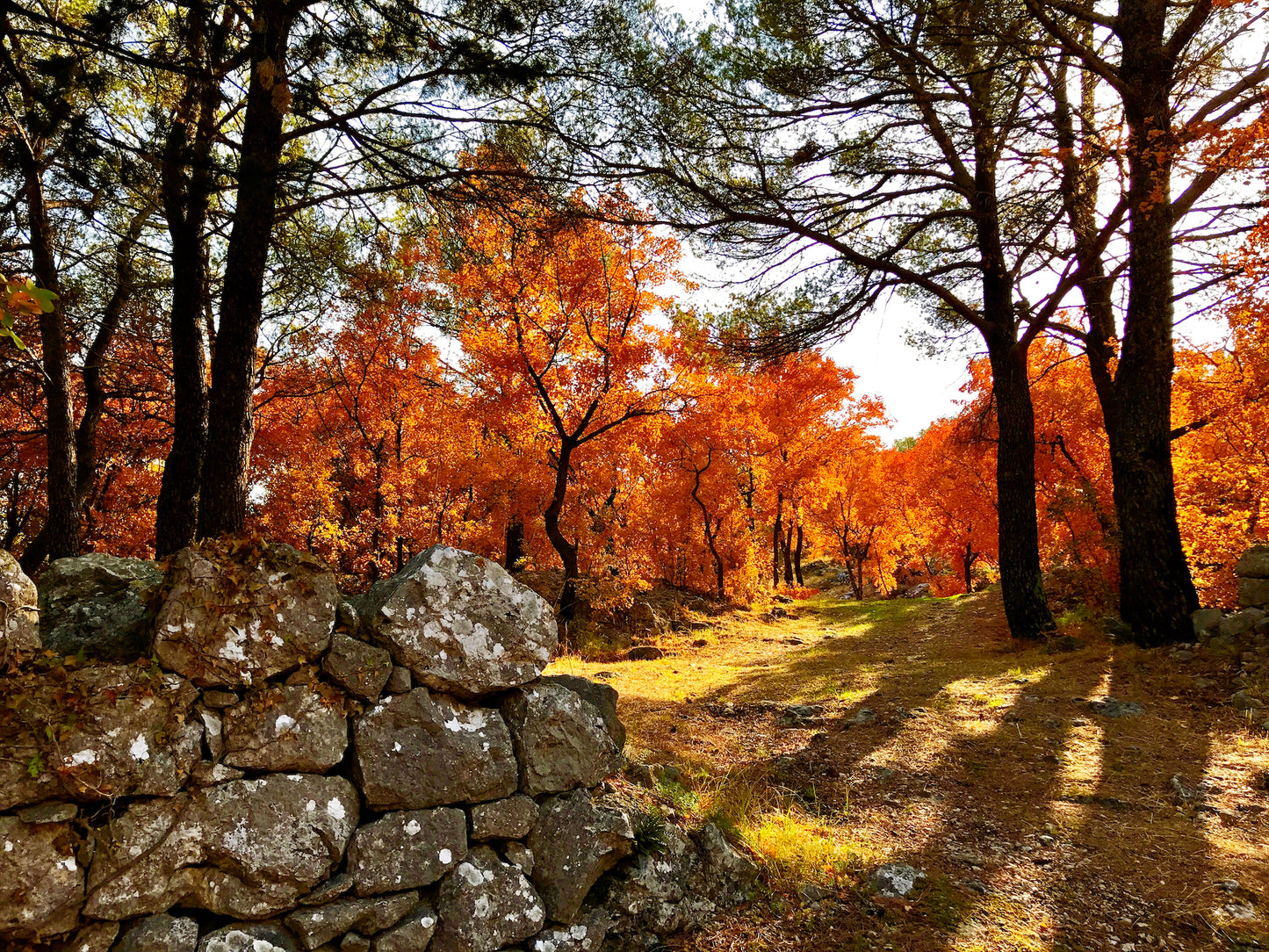 Croatian Reds, Omis, Croatia