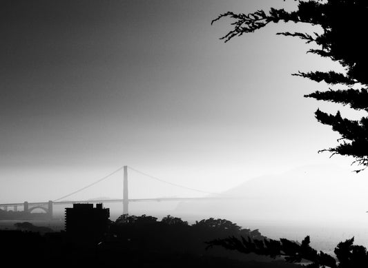 Foggy Gate, San Francisco, USA