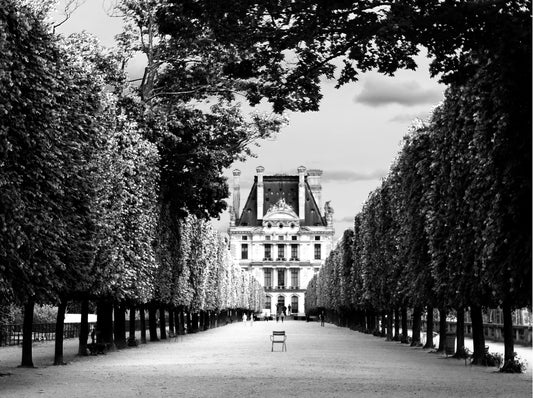 The Chair, Paris, France