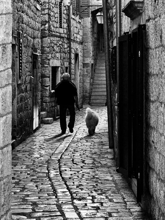 The Man And The Dog, Stari Grad, Croatia