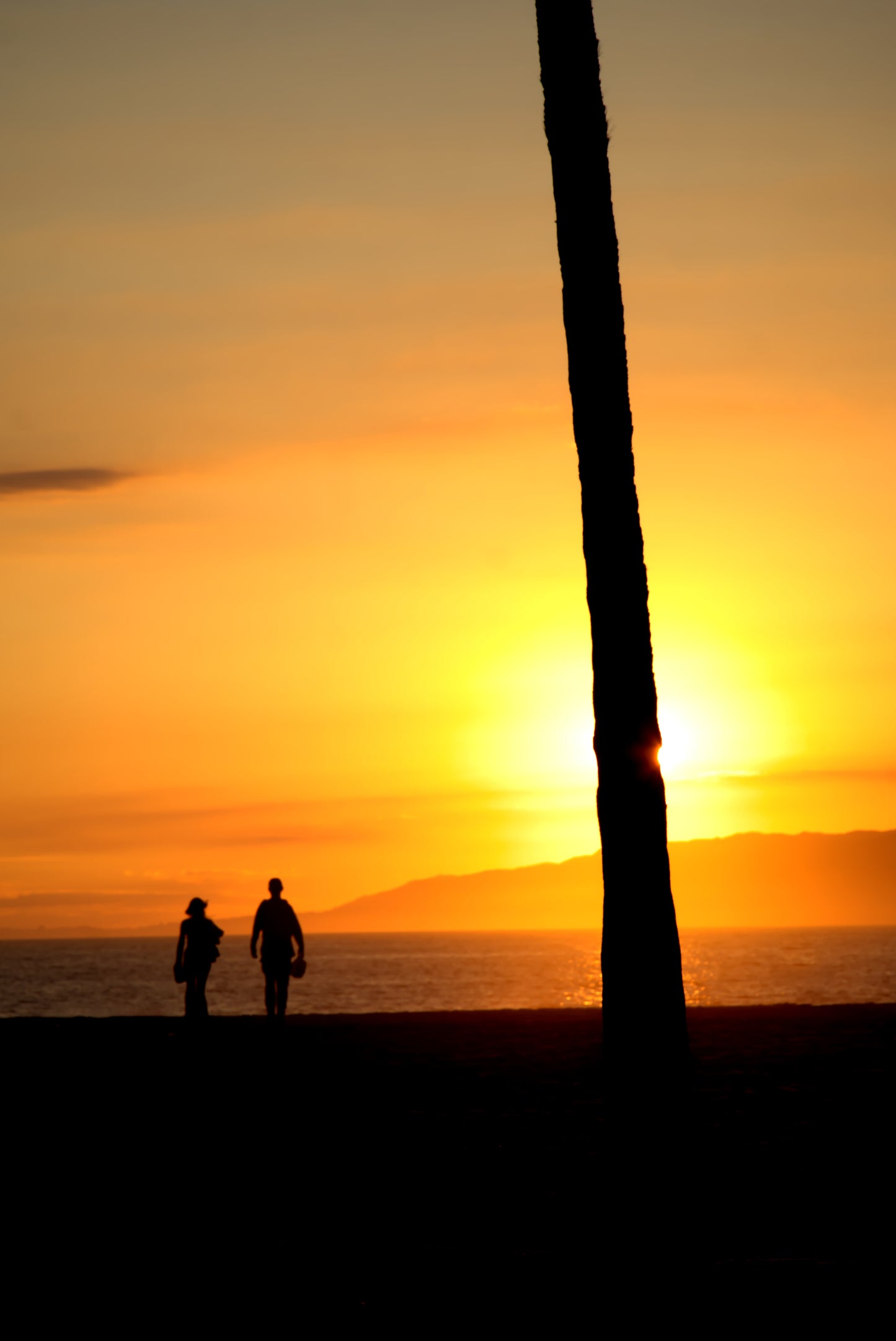 Walking Into The Sunset, Venice Beach, USA